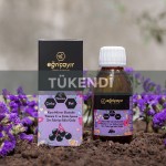 Eğriçayır - Kara Mürver Ekstratı Vitamin C Ve Çinko İçeren Sıvı Takviye Edici Gıda 120ml