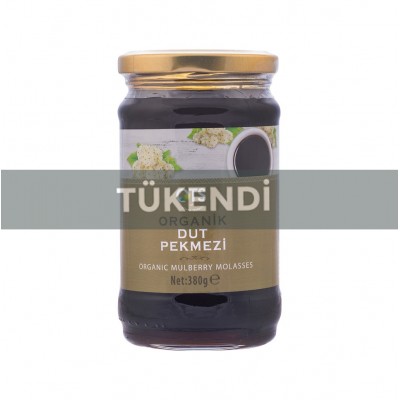 Ots -Organik Dut Pekmezi 380gr